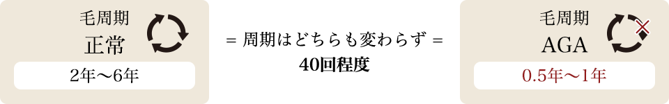 毛周期 正常2年～6年 毛周期AGA 0.5年～1年 周期はどちらも変わらず40回程度